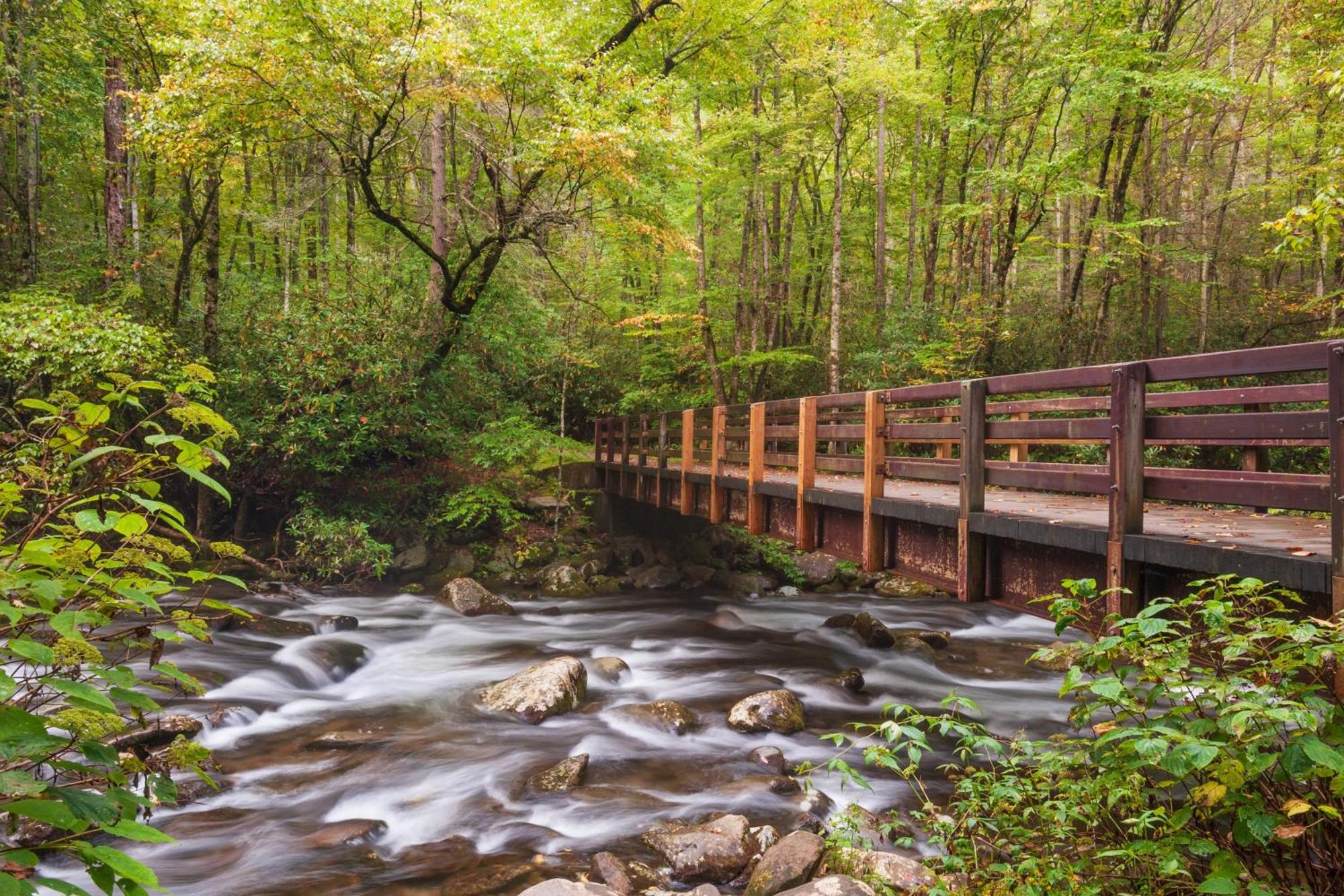 Ober Hideaway, Hot Tub, Wifi, 1089 Free Tickets Each Paid Day, Dollywood And More Gatlinburg Exteriér fotografie